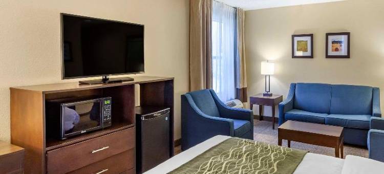舒适酒店(Comfort Inn)图片