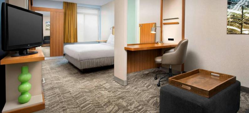 波托马克米尔SpringHill套房酒店(SpringHill Suites Potomac Mills Woodbridge)图片