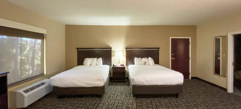 舒适套房酒店-金斯湾海军基地区(Comfort Suites Kings Bay Naval Base Area)图片