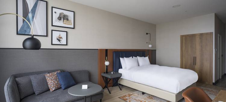 洲际酒店集团旗下伊斯坦布尔西皇冠假日酒店(Crowne Plaza Istanbul - West by IHG)图片