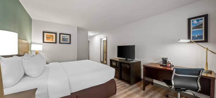 福克斯伯勒-曼斯菲尔德舒适酒店(Comfort Inn Foxboro - Mansfield)图片