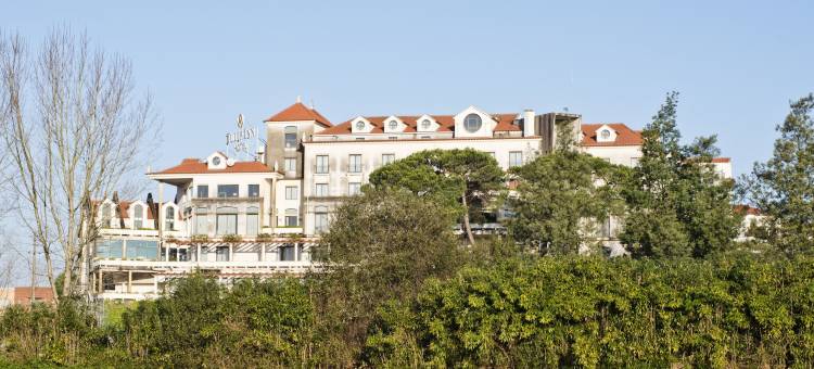 埃斯塔雷哈林肯酒店(Lam Hotel Estarreja)图片