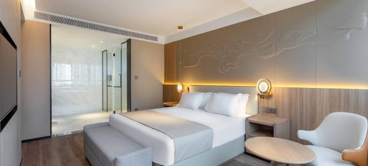 圣保罗Aclimacao温德姆花园酒店(Wyndham Garden Sao Paulo Aclimacao)图片