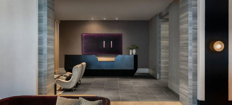 金普顿克拉雷酒店 IHG旗下(Kimpton CLARET HOTEL by IHG)图片