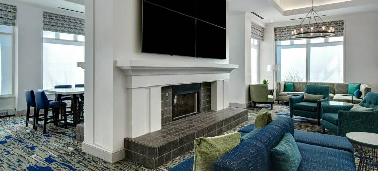 底特律地铁机场希尔顿花园客栈酒店(Hilton Garden Inn Detroit Metro Airport)图片