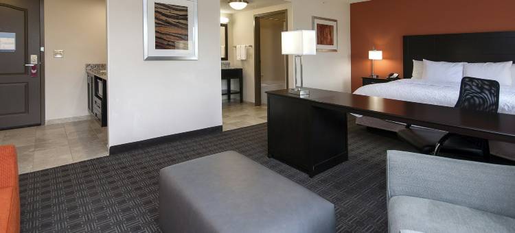 塞内卡-克莱姆森区欢朋酒店及套房(Hampton Inn & Suites Seneca-Clemson Area)图片