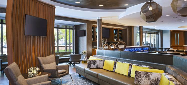 达拉斯路易斯维尔万豪SpringHill Suites 酒店(SpringHill Suites Dallas Lewisville)图片