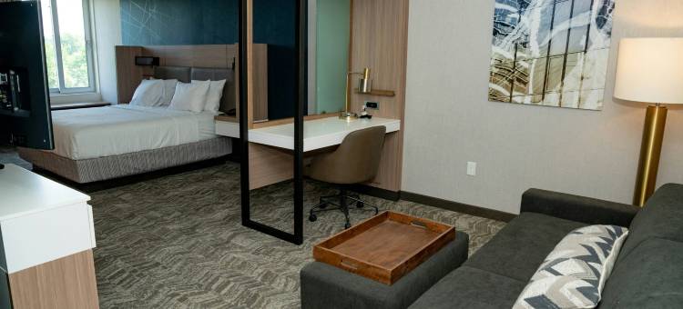 SpringHill Suites伍德布里奇酒店(SpringHill Suites Woodbridge)图片