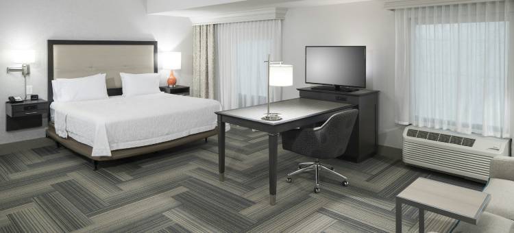 亚特兰大周界邓伍迪欢朋套房酒店(Hampton Inn & Suites Atlanta Perimeter Dunwoody)图片