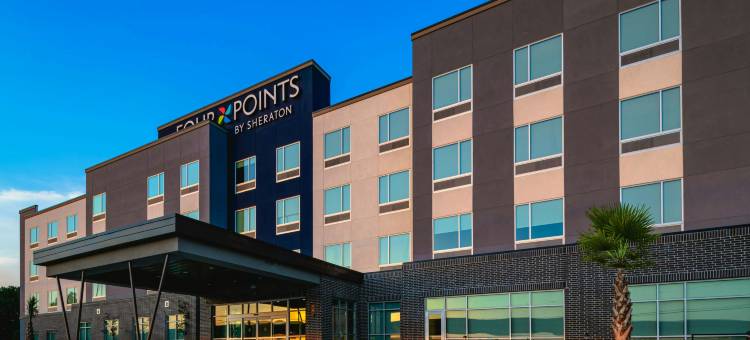 福朋喜来登沃思堡北酒店(Four Points by Sheraton Fort Worth North)图片