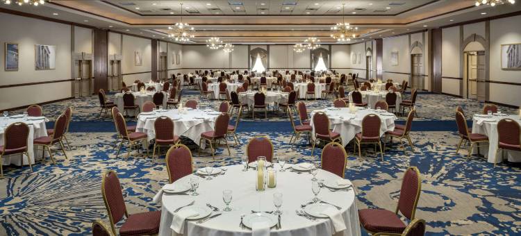 克利夫兰罗克赛德希尔顿希尔顿安泊酒店(Embassy Suites by Hilton Cleveland Rockside)图片