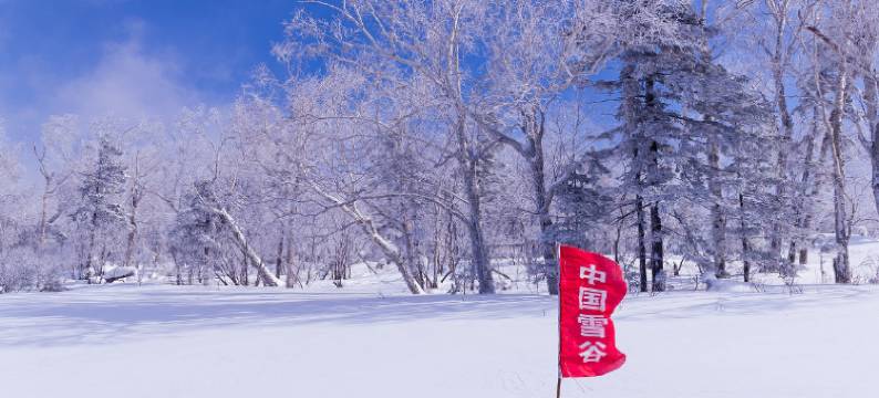 雪谷九鼎阁客栈(雪谷风景区店)图片