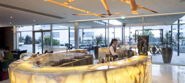 史诗萨那里斯本旅馆(EPIC SANA Lisboa Hotel)图片