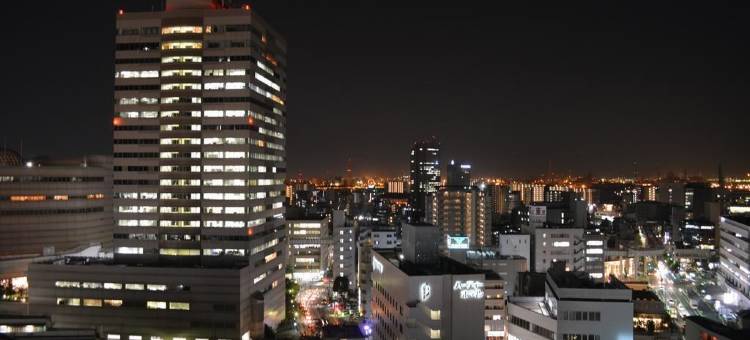 千叶太阳道酒店(Hotel Sunroute Chiba)图片