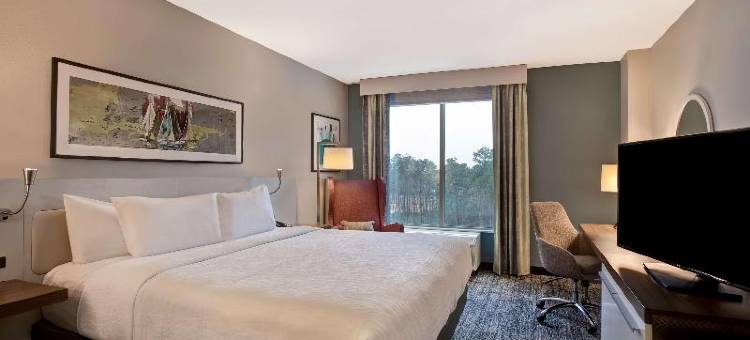 萨默维尔希尔顿花园酒店(Hilton Garden Inn Summerville)图片