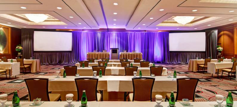 多伦多市中心希尔顿逸林酒店(DoubleTree by Hilton Toronto Downtown)图片