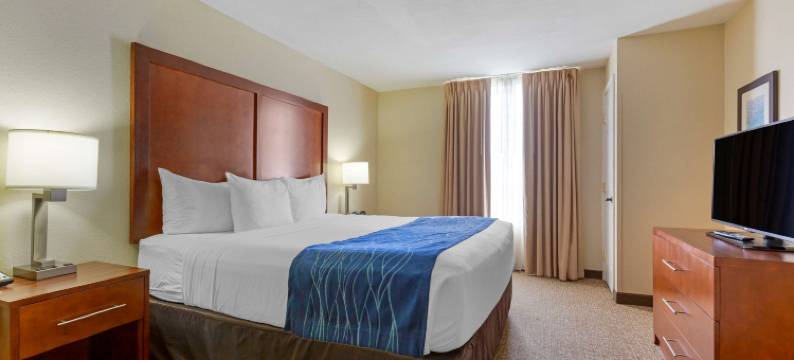 舒适套房酒店-弗雷德里克斯堡南(Comfort Suites Fredericksburg South)图片