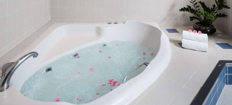 市中心诺维尔酒店(Novel Hotel City Center)图片