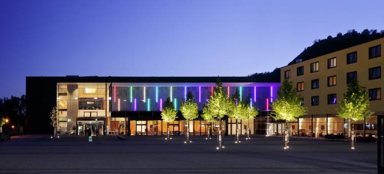 Holiday Inn Express 辛根(Holiday Inn Express Singen)图片