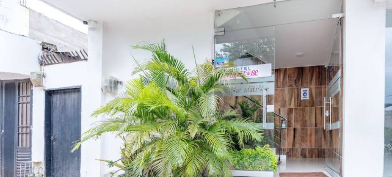 Valledupar Millrose酒店(Hotel Millrose)图片