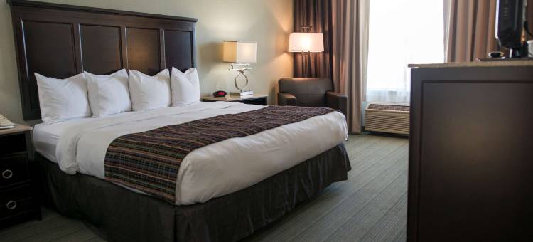 埃芬汉姆丽怡酒店(Country Inn & Suites by Radisson, Effingham, IL)图片