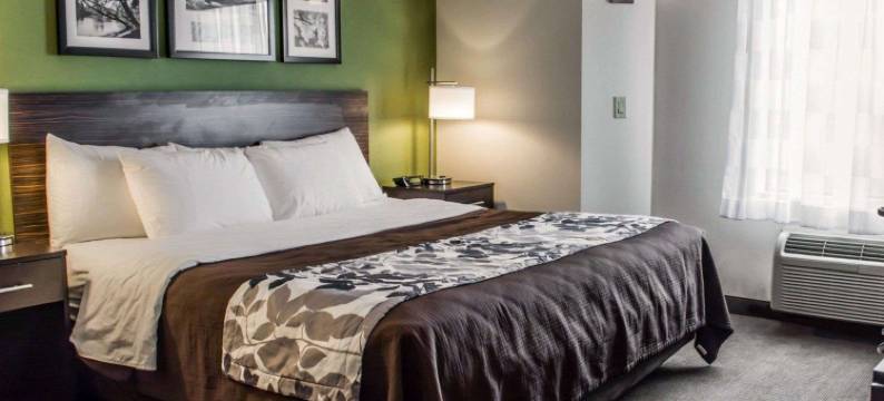 北里士满舒眠酒店(Sleep Inn Richmond North)图片