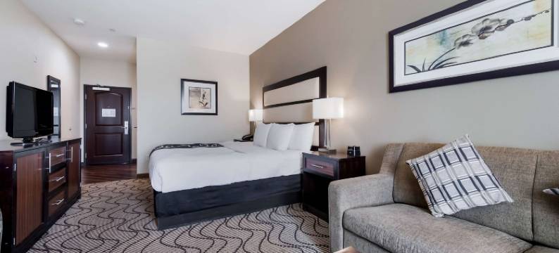 奥本拉昆塔温德姆套房酒店(La Quinta Inn & Suites by Wyndham Auburn)图片