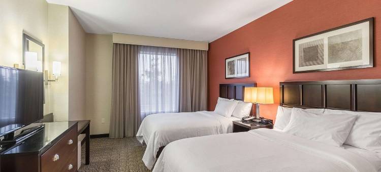 伊丽莎白纽瓦克机场希尔顿安泊酒店(Embassy Suites by Hilton Newark Airport)图片