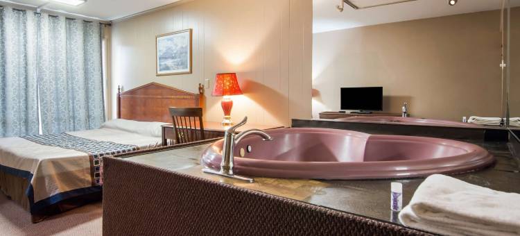 阿姆斯特丹骑士酒店(Knights Inn Amsterdam)图片