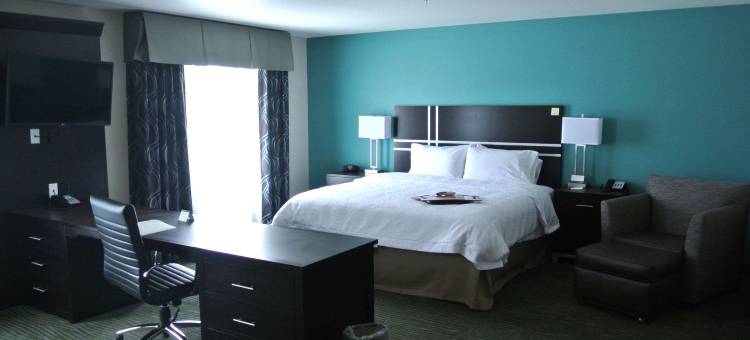 希尔顿欢朋酒店-卡里索斯普林斯(Hampton Inn Carrizo Springs)图片