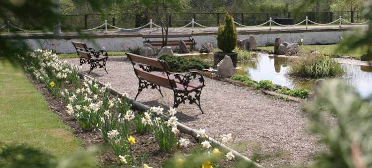 克瑞拉克莱格林恩酒店(Craiglynne Hotel)图片