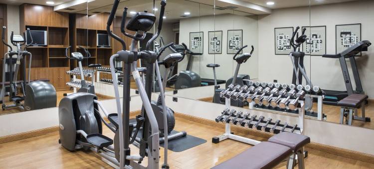 塞尔科蒂尔AB阿尔甘达酒店(Sercotel AB Arganda)图片