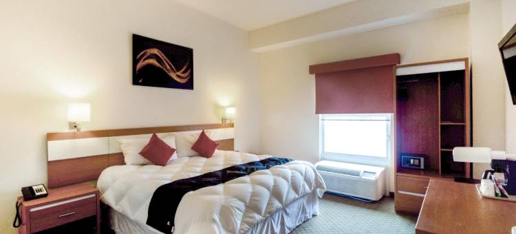 首都O赫雷迪罗酒店(Los Herederos Hotel Piedras Negras)图片