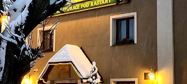 栗子下酒店及餐厅(Hotel & Restaurant Pod Kaštany)图片