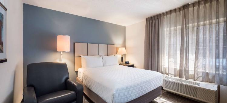 底特律特洛伊索尼斯塔简单套房酒店(Sonesta Simply Suites Detroit Troy)图片