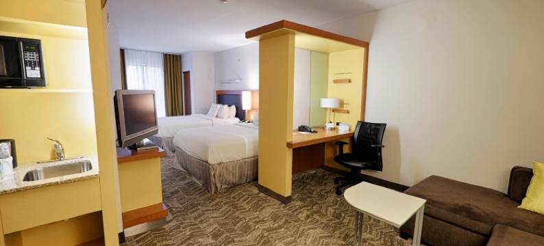 奥尔巴尼-科勒尼 SpringHill Suites 酒店(SpringHill Suites Albany-Colonie)图片