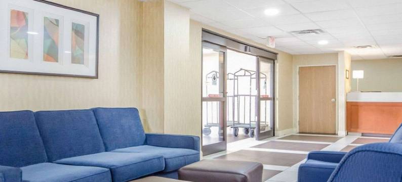 舒适酒店(Comfort Inn)图片