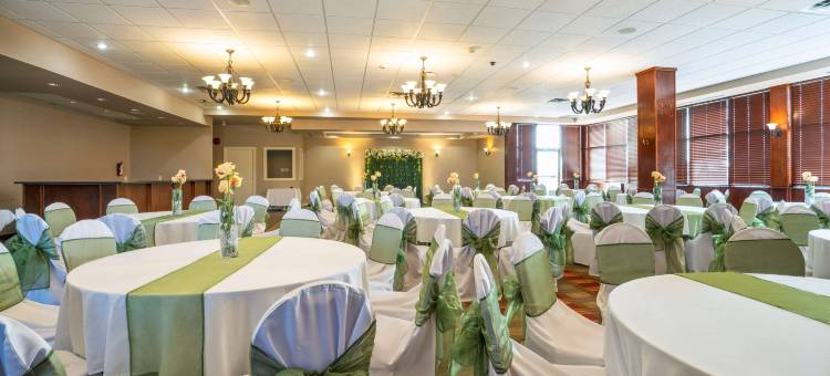 舒适套房酒店(Comfort Inn & Suites)图片