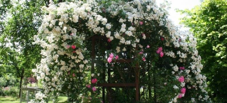 杜杰旅馆酒店(Chambres d'Hotes du Jay)图片