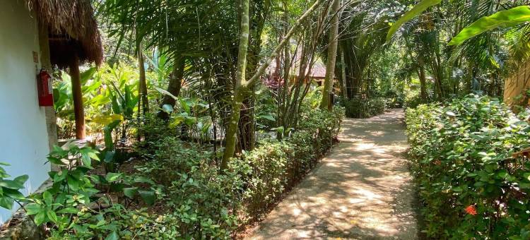 彼德拉阿瓜帕伦克酒店(Piedra de Agua Palenque)图片