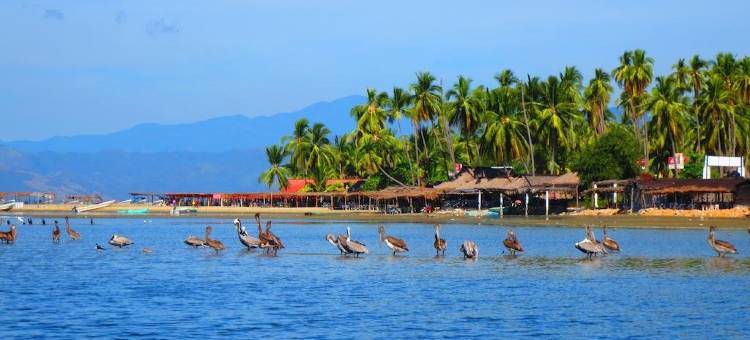鲁萨庄园酒店(Hacienda la Rusa)图片