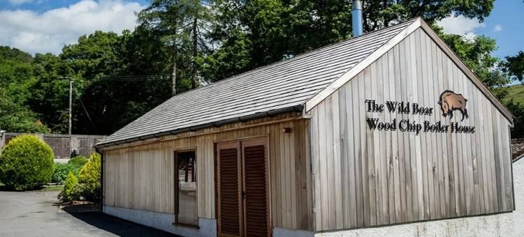 野猪酒店(The Wild Boar)图片