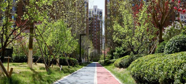 可可学生日租公寓(站前南路2号分店)图片