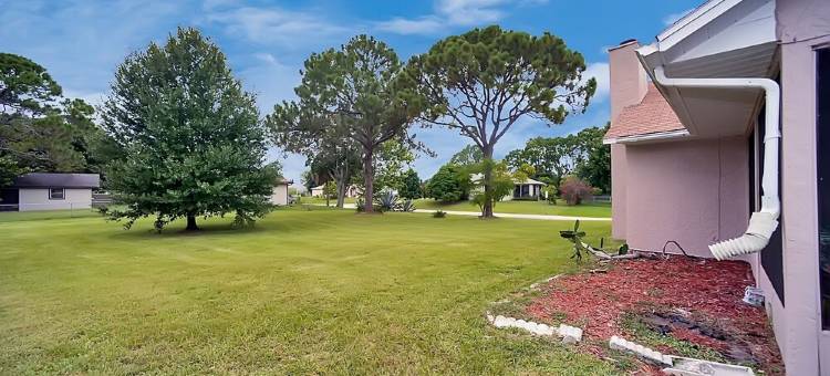 Palm Bay Delight, Large Grass Yard, 20 Minutes To The Beach 3 Bedroom Home图片