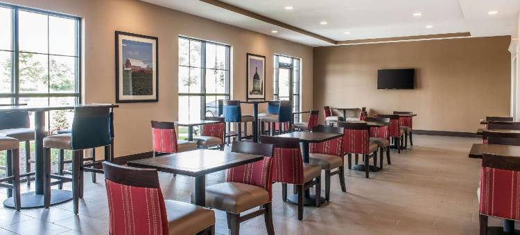 伦斯勒舒适套房酒店 - 近费尔奥克斯(Comfort Suites Rensselaer near Fair Oaks)图片