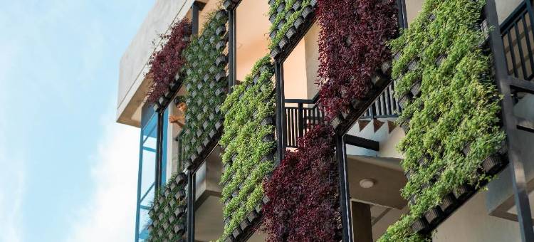 杜马格特酒店(Hotel Dumaguete)图片