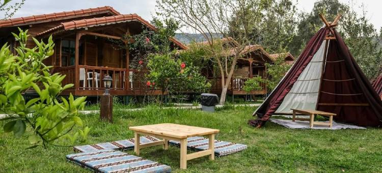 Fire 膳宿公寓(Fire Pansiyon)图片