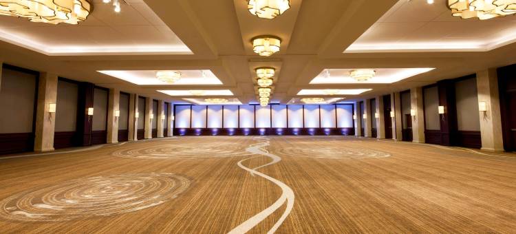 芝加哥密歇根大道威斯汀酒店(The Westin Michigan Avenue Chicago)图片