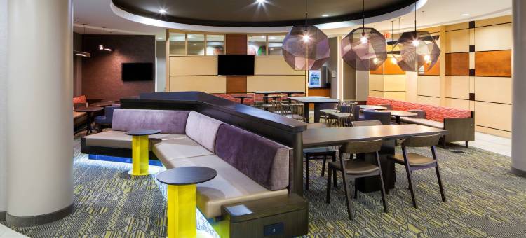 印第安纳波利斯费希尔斯SpringHill套房酒店(SpringHill Suites Indianapolis Fishers)图片