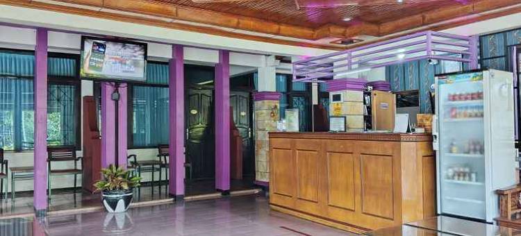 潘格兰酒店(Hotel Pangeran Padang Panjang)图片